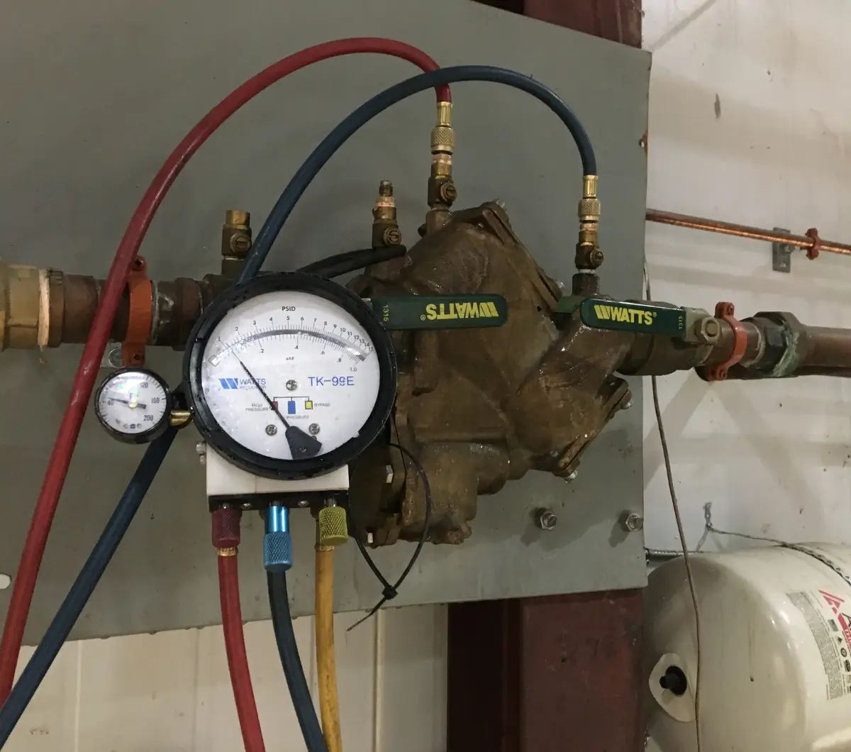 backflow accent 2 desktop